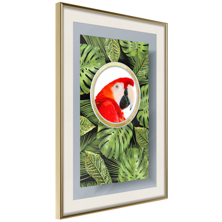 Wall Poster Parrot in the jungle - colorful bird on a background of green tropical leaves 116407 additionalImage 2