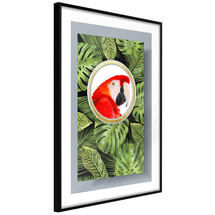 Wall Poster Parrot in the jungle - colorful bird on a background of green tropical leaves 116407 additionalImage 11