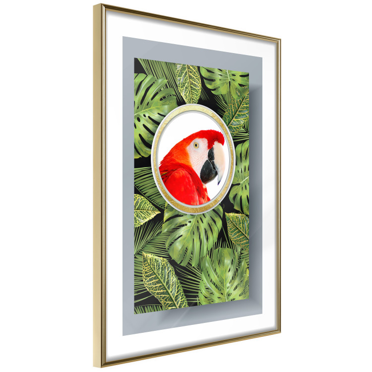 Wall Poster Parrot in the jungle - colorful bird on a background of green tropical leaves 116407 additionalImage 8