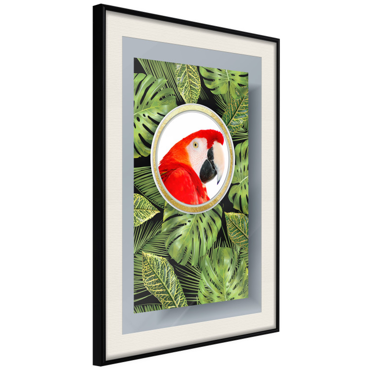 Wall Poster Parrot in the jungle - colorful bird on a background of green tropical leaves 116407 additionalImage 3