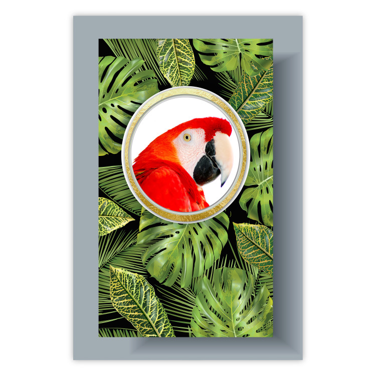 Wall Poster Parrot in the jungle - colorful bird on a background of green tropical leaves 116407