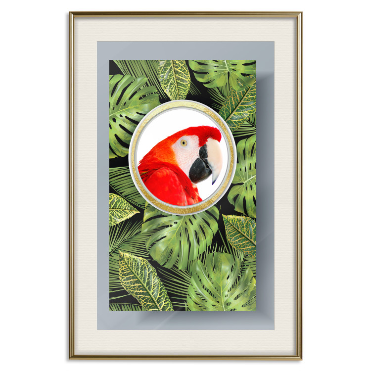 Wall Poster Parrot in the jungle - colorful bird on a background of green tropical leaves 116407 additionalImage 19