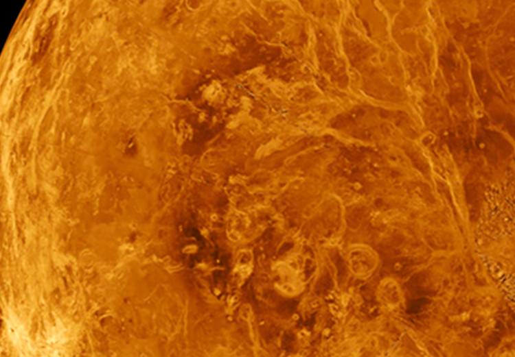 Canvas Venus (1 Part) Vertical 116707 additionalImage 4