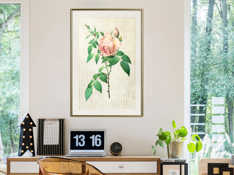 Wall Poster Victorian Rose - colorful floral composition against a background of beige stripes 117407 additionalImage 20