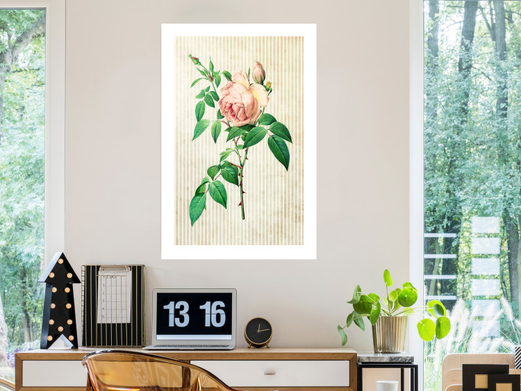 Wall Poster Victorian Rose - colorful floral composition against a background of beige stripes 117407 additionalImage 2