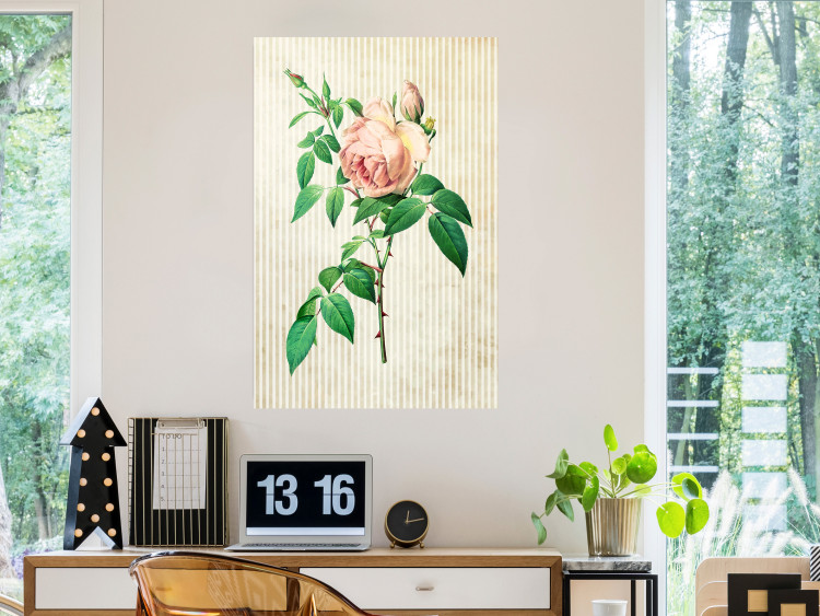 Wall Poster Victorian Rose - colorful floral composition against a background of beige stripes 117407 additionalImage 22