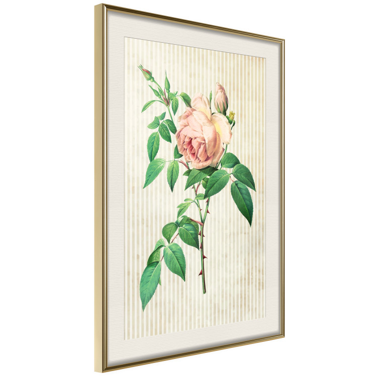 Wall Poster Victorian Rose - colorful floral composition against a background of beige stripes 117407 additionalImage 2