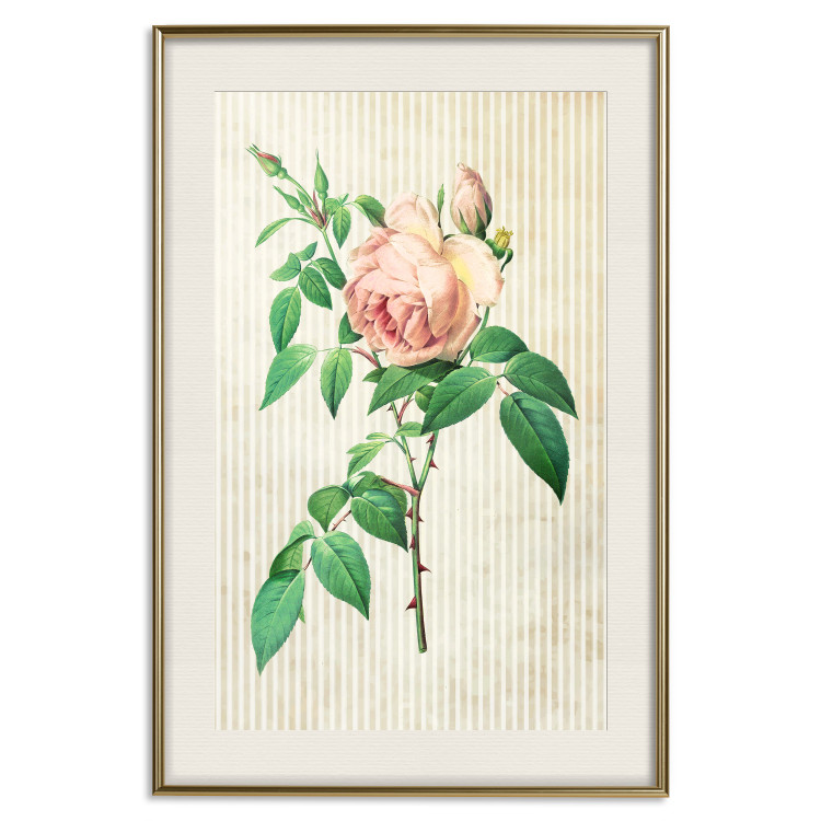 Wall Poster Victorian Rose - colorful floral composition against a background of beige stripes 117407 additionalImage 18