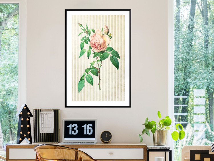 Wall Poster Victorian Rose - colorful floral composition against a background of beige stripes 117407 additionalImage 4