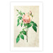 Wall Poster Victorian Rose - colorful floral composition against a background of beige stripes 117407 additionalThumb 24