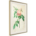Wall Poster Victorian Rose - colorful floral composition against a background of beige stripes 117407 additionalThumb 2