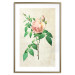 Wall Poster Victorian Rose - colorful floral composition against a background of beige stripes 117407 additionalThumb 15