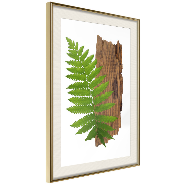 Poster Resoluteness of Nature - green plant and wooden piece on a white background 122607 additionalImage 14