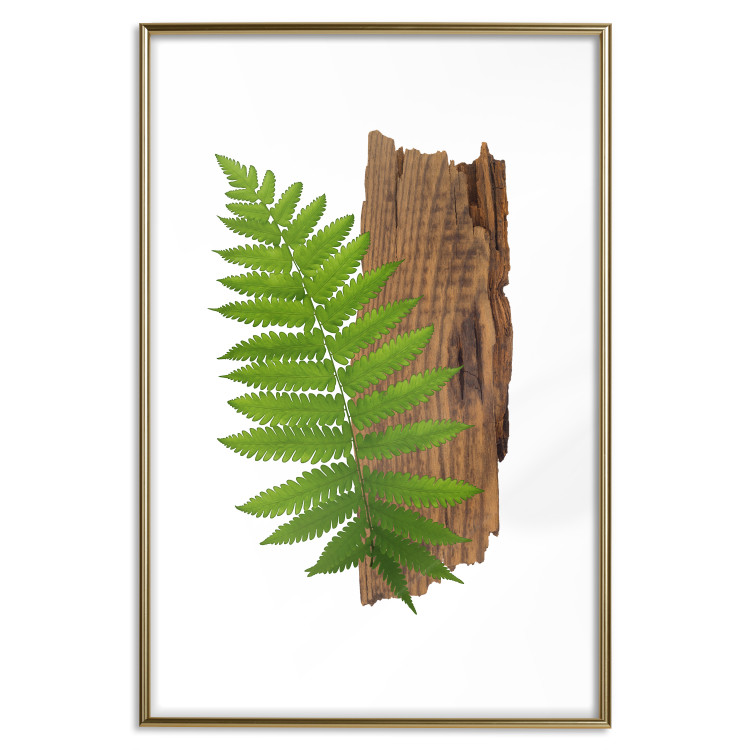 Poster Resoluteness of Nature - green plant and wooden piece on a white background 122607 additionalImage 16