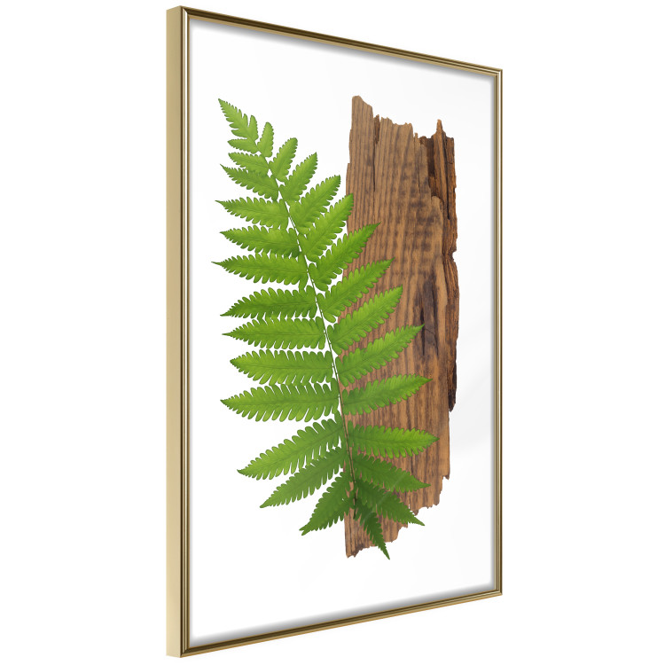 Poster Resoluteness of Nature - green plant and wooden piece on a white background 122607 additionalImage 4