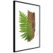 Poster Resoluteness of Nature - green plant and wooden piece on a white background 122607 additionalThumb 3