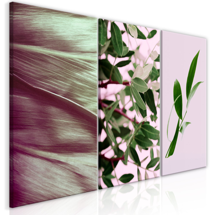 Canvas Print Leaves triptych - a composition consisting of various types of leaves 124407 additionalImage 2