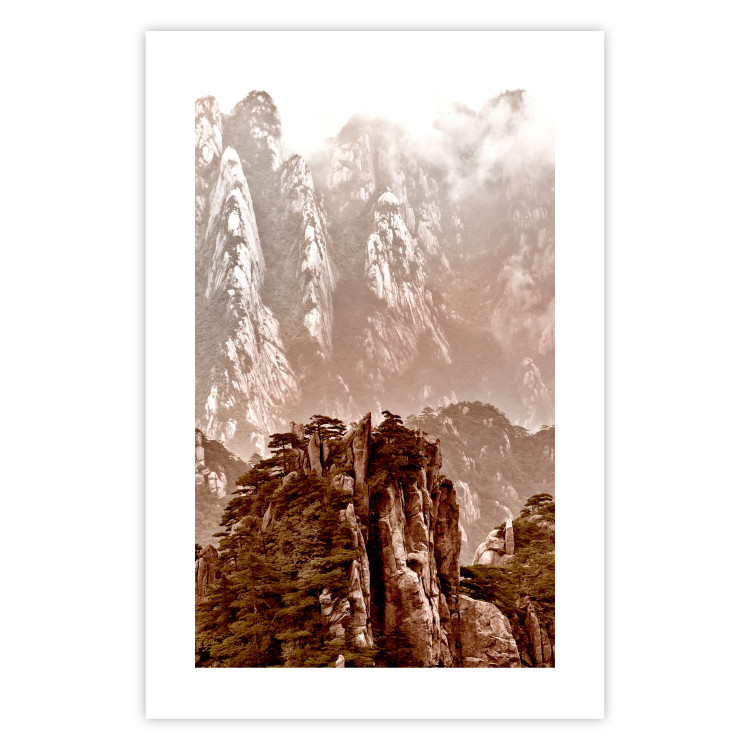 Wall Poster Monolith - mountain landscape with small plant details in sepia tone 127907 additionalImage 25