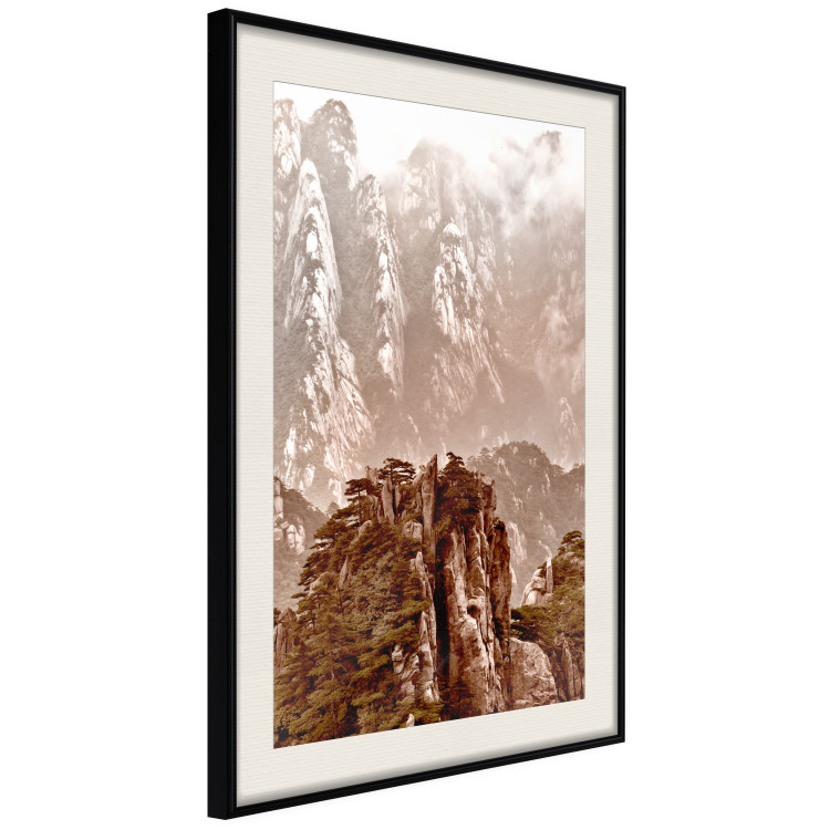 Wall Poster Monolith - mountain landscape with small plant details in sepia tone 127907 additionalImage 2