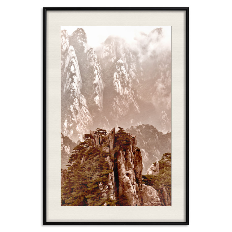 Wall Poster Monolith - mountain landscape with small plant details in sepia tone 127907 additionalImage 19