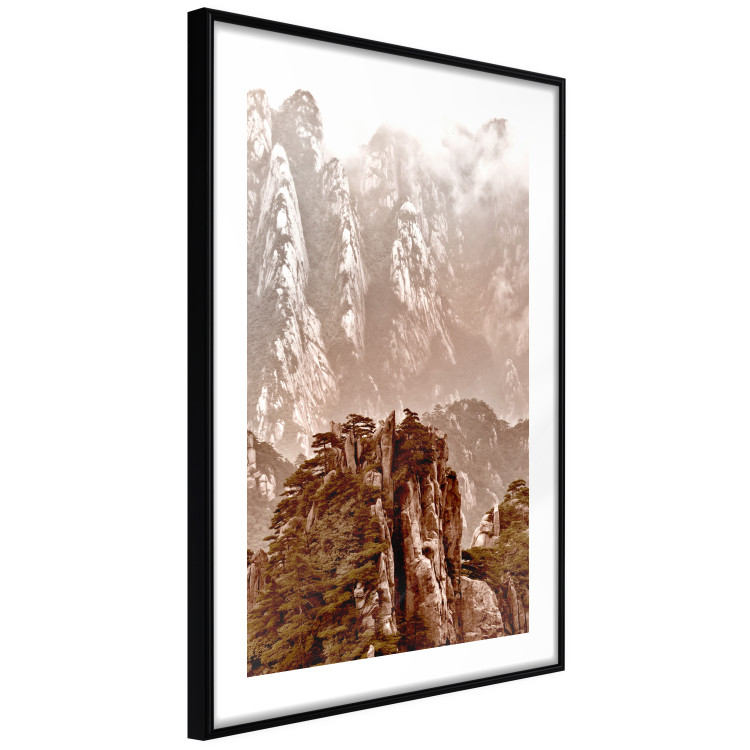 Wall Poster Monolith - mountain landscape with small plant details in sepia tone 127907 additionalImage 8