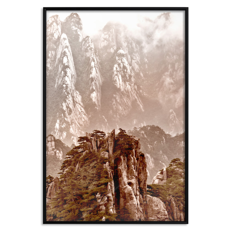 Wall Poster Monolith - mountain landscape with small plant details in sepia tone 127907 additionalImage 18