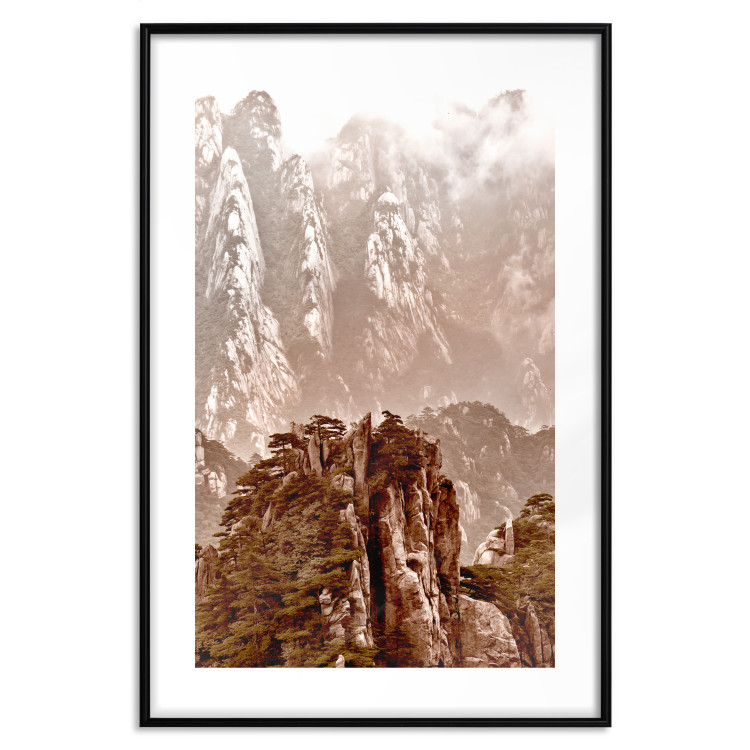 Wall Poster Monolith - mountain landscape with small plant details in sepia tone 127907 additionalImage 15