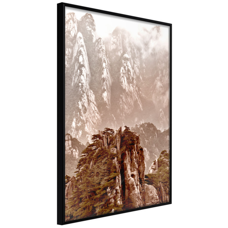 Wall Poster Monolith - mountain landscape with small plant details in sepia tone 127907 additionalImage 11