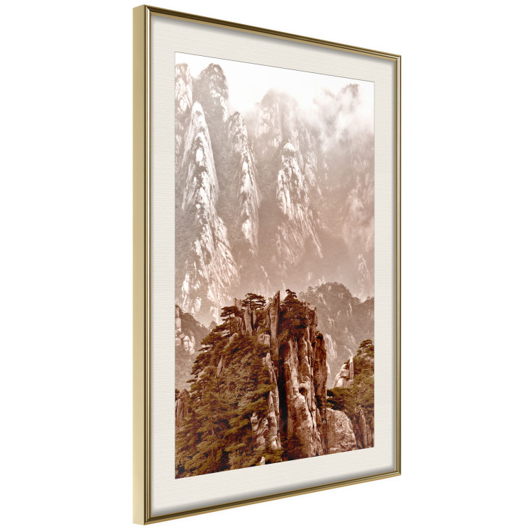 Wall Poster Monolith - mountain landscape with small plant details in sepia tone 127907 additionalImage 3