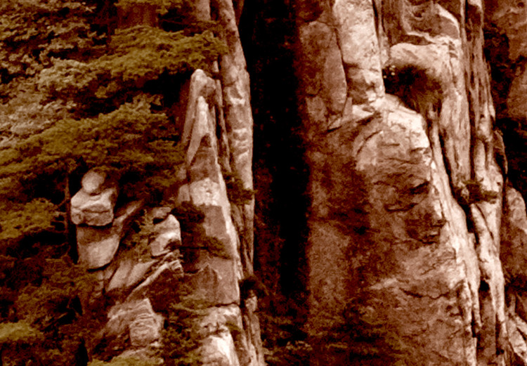 Wall Poster Monolith - mountain landscape with small plant details in sepia tone 127907 additionalImage 9