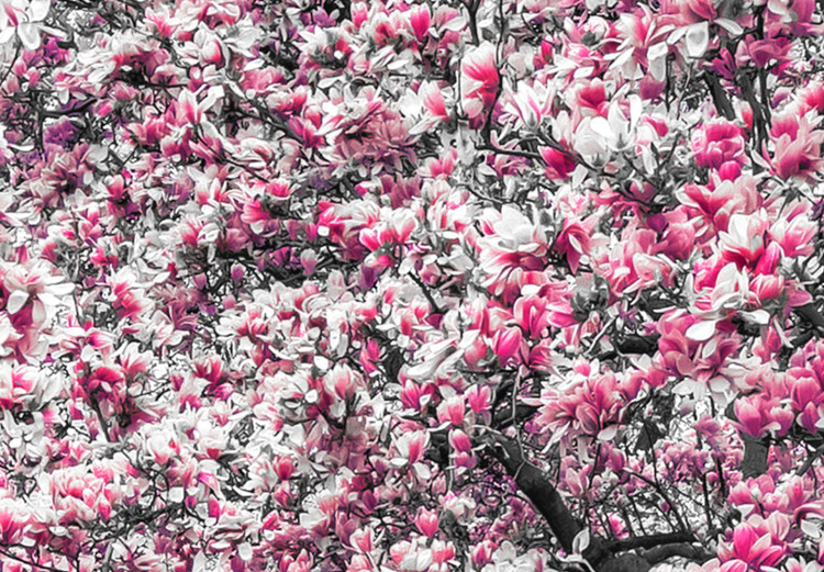 Large canvas print Magnolia Park - Pink II [Large Format] 128607 additionalImage 4