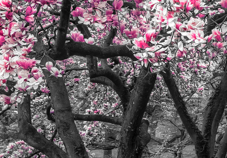 Large canvas print Magnolia Park - Pink II [Large Format] 128607 additionalImage 3