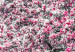 Large canvas print Magnolia Park - Pink II [Large Format] 128607 additionalThumb 4