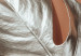 Wall Poster Sunny Keepsake - silver monstera leaf on a uniform light background 129507 additionalThumb 5