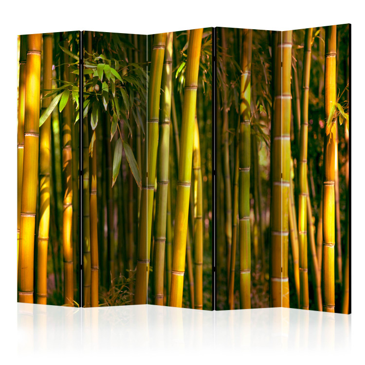 Room Divider Screen Sunset Forest II - natural green landscape of bamboo forest 133807