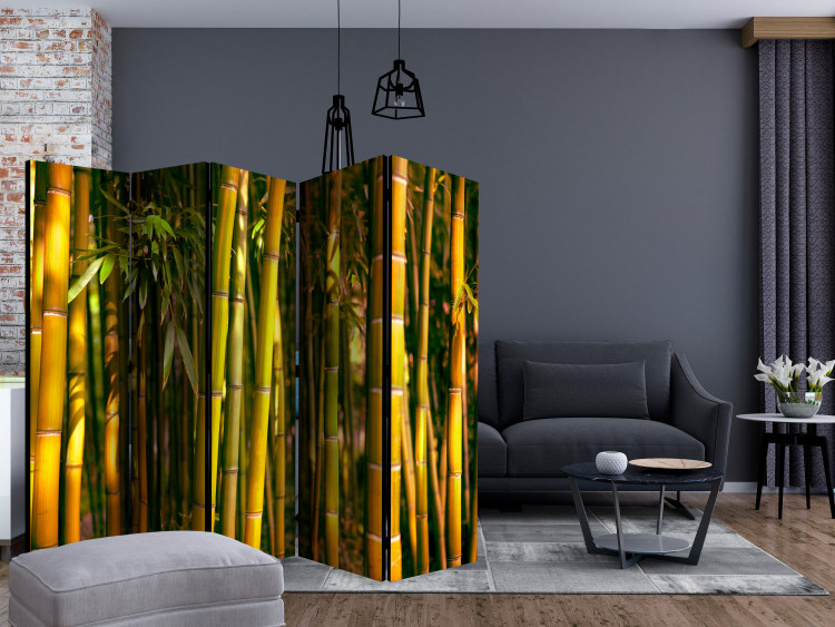 Room Divider Screen Sunset Forest II - natural green landscape of bamboo forest 133807 additionalImage 4