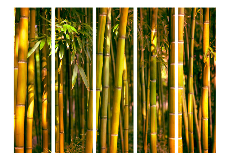 Room Divider Screen Sunset Forest II - natural green landscape of bamboo forest 133807 additionalImage 3