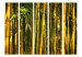 Room Divider Screen Sunset Forest II - natural green landscape of bamboo forest 133807 additionalThumb 3