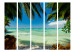 Room Divider Screen Beach Relaxation II - summer seascape amidst tropical vegetation 134007 additionalThumb 3