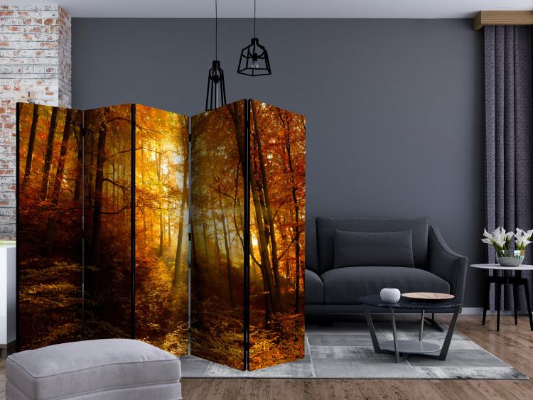 Room Divider Autumn Illumination II - forest landscape with the glow of sunlight 134107 additionalImage 4
