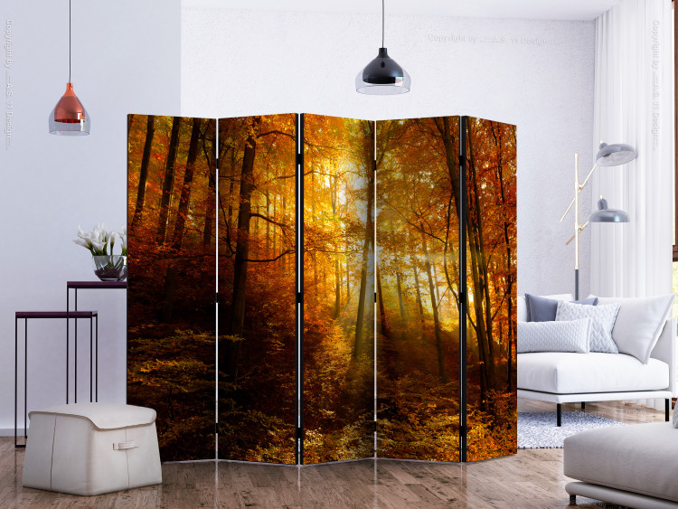 Room Divider Autumn Illumination II - forest landscape with the glow of sunlight 134107 additionalImage 2