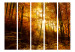 Room Divider Autumn Illumination II - forest landscape with the glow of sunlight 134107 additionalThumb 3