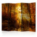 Room Divider Autumn Illumination II - forest landscape with the glow of sunlight 134107
