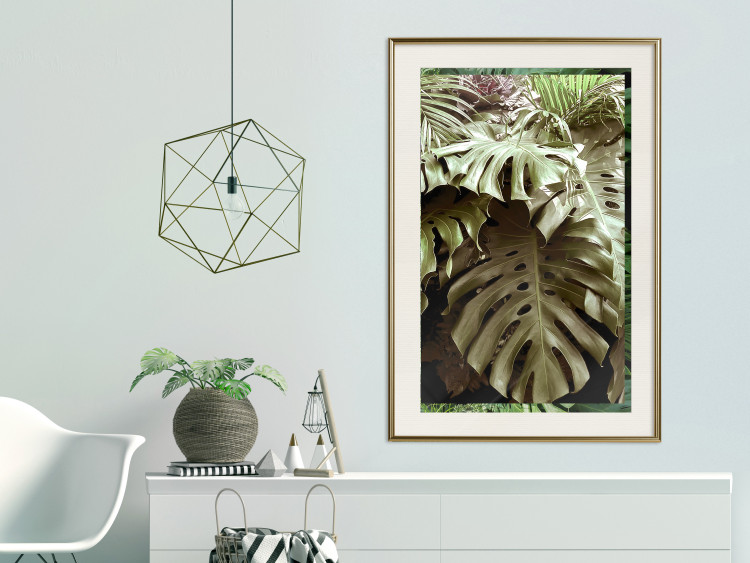Poster Jungle Nobility - tropical composition of green monstera leaves 134507 additionalImage 22
