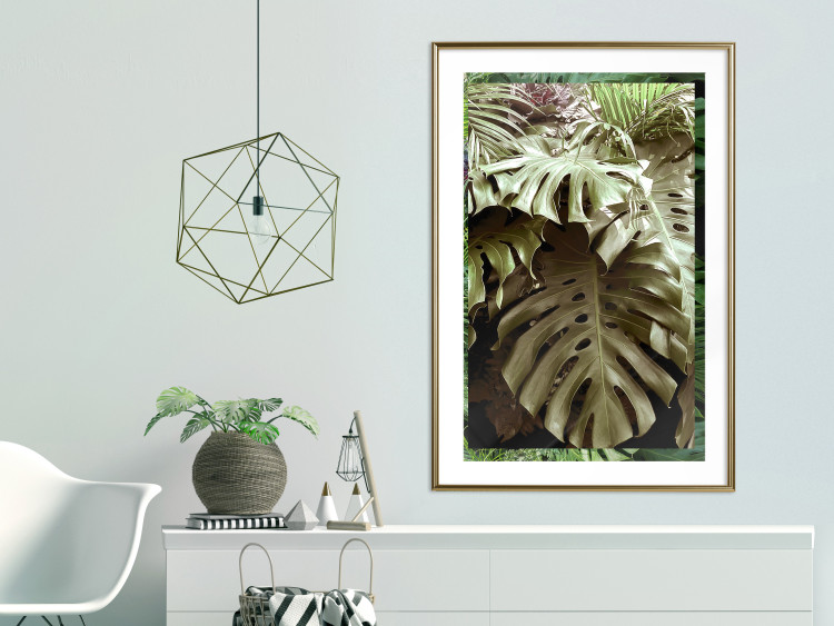 Poster Jungle Nobility - tropical composition of green monstera leaves 134507 additionalImage 15