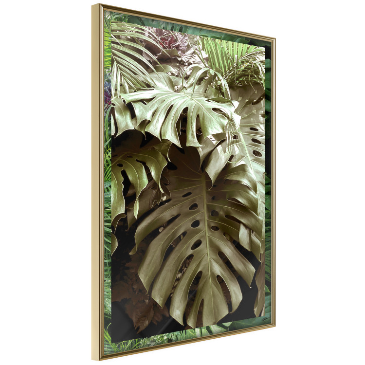 Poster Jungle Nobility - tropical composition of green monstera leaves 134507 additionalImage 12