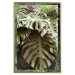 Poster Jungle Nobility - tropical composition of green monstera leaves 134507 additionalThumb 21