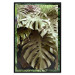 Poster Jungle Nobility - tropical composition of green monstera leaves 134507 additionalThumb 18
