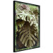 Poster Jungle Nobility - tropical composition of green monstera leaves 134507 additionalThumb 13