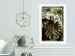 Poster Jungle Nobility - tropical composition of green monstera leaves 134507 additionalThumb 3